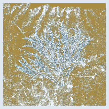 huerco-s-for-those-who-have