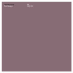 The Black Dog Peel Session