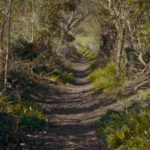bibio two paths