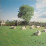 klf somewhere