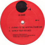 The Martian Journey To The Martian Polar Cap