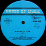 casco cybernetic love