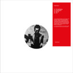 shiken-hanzo-centipede