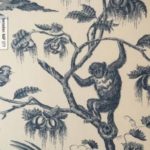 BenedenNAP Warp Special