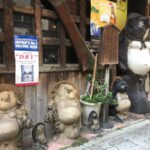 tanuki in Japan