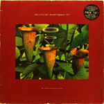 Artificial Intelligence Warp comp 2